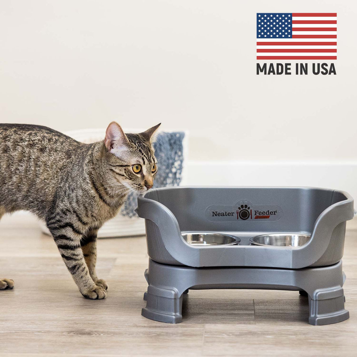 Cat next to Gunmetal Neater Feeder Deluxe - Made in the USA