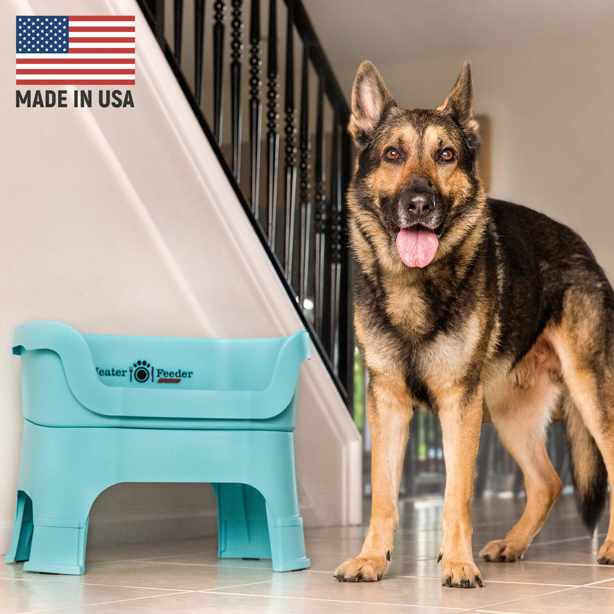 German Shepherd next to Aquamarine Neater Feeder Deluxe - Made in the USA