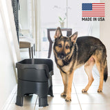 German Shepherd next to Black Neater Feeder Deluxe - Made in the USA