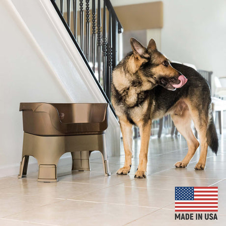 German Shepherd next to Bronze Neater Feeder Deluxe - Made in the USA