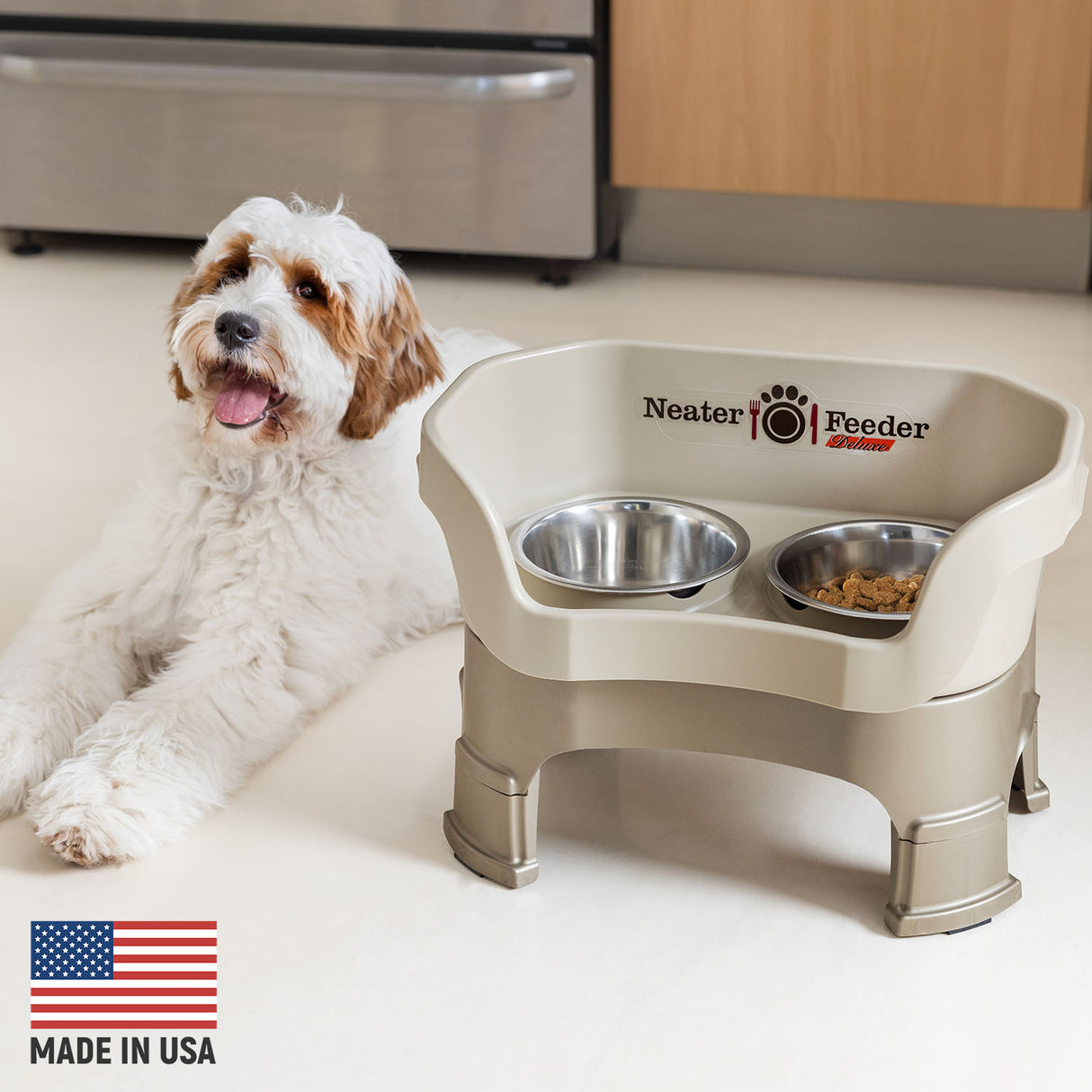 Goldendoodle next to Cappuccino Neater Feeder Deluxe - Made in the USA