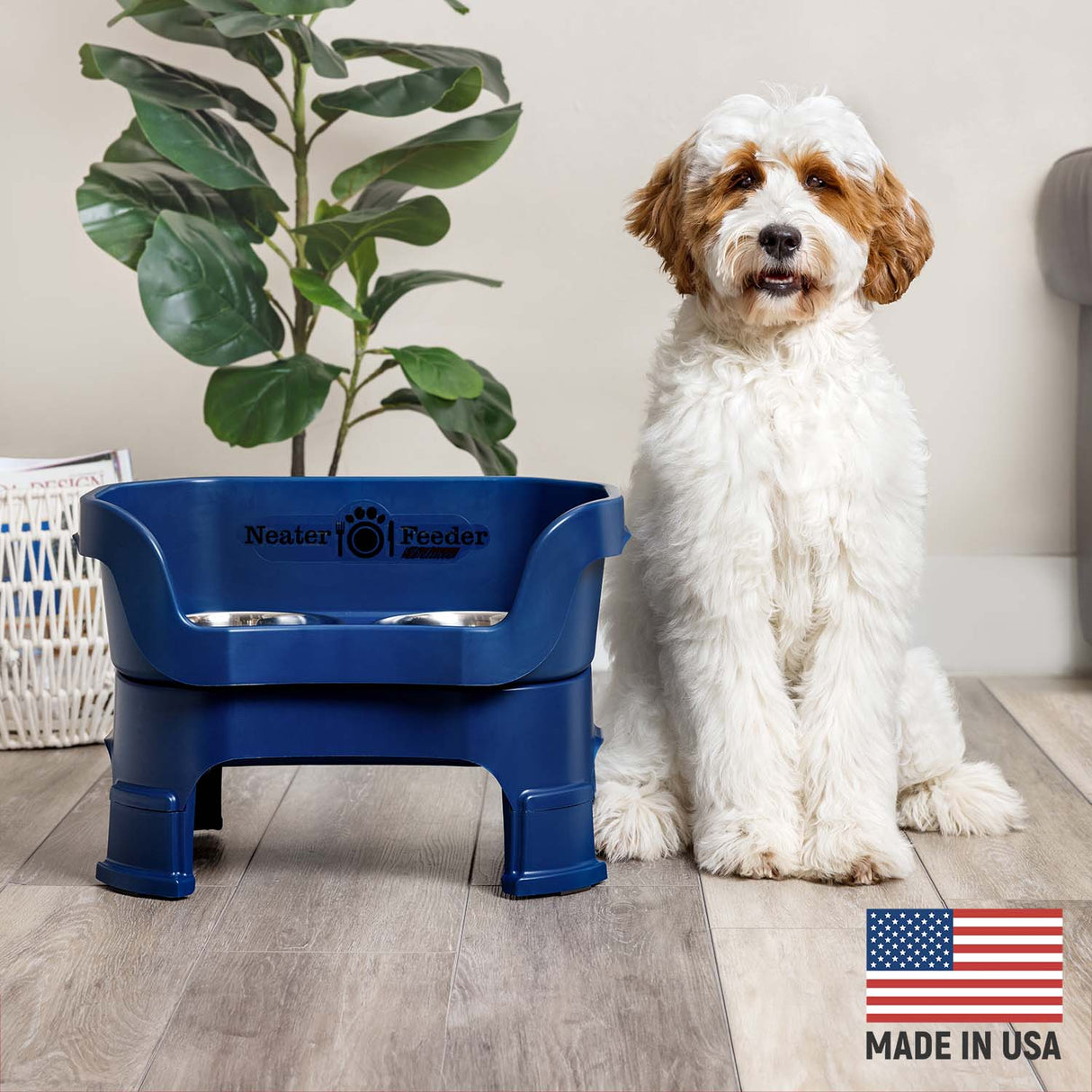 Goldendoodle next to Dark Blue Neater Feeder Deluxe - Made in the USA