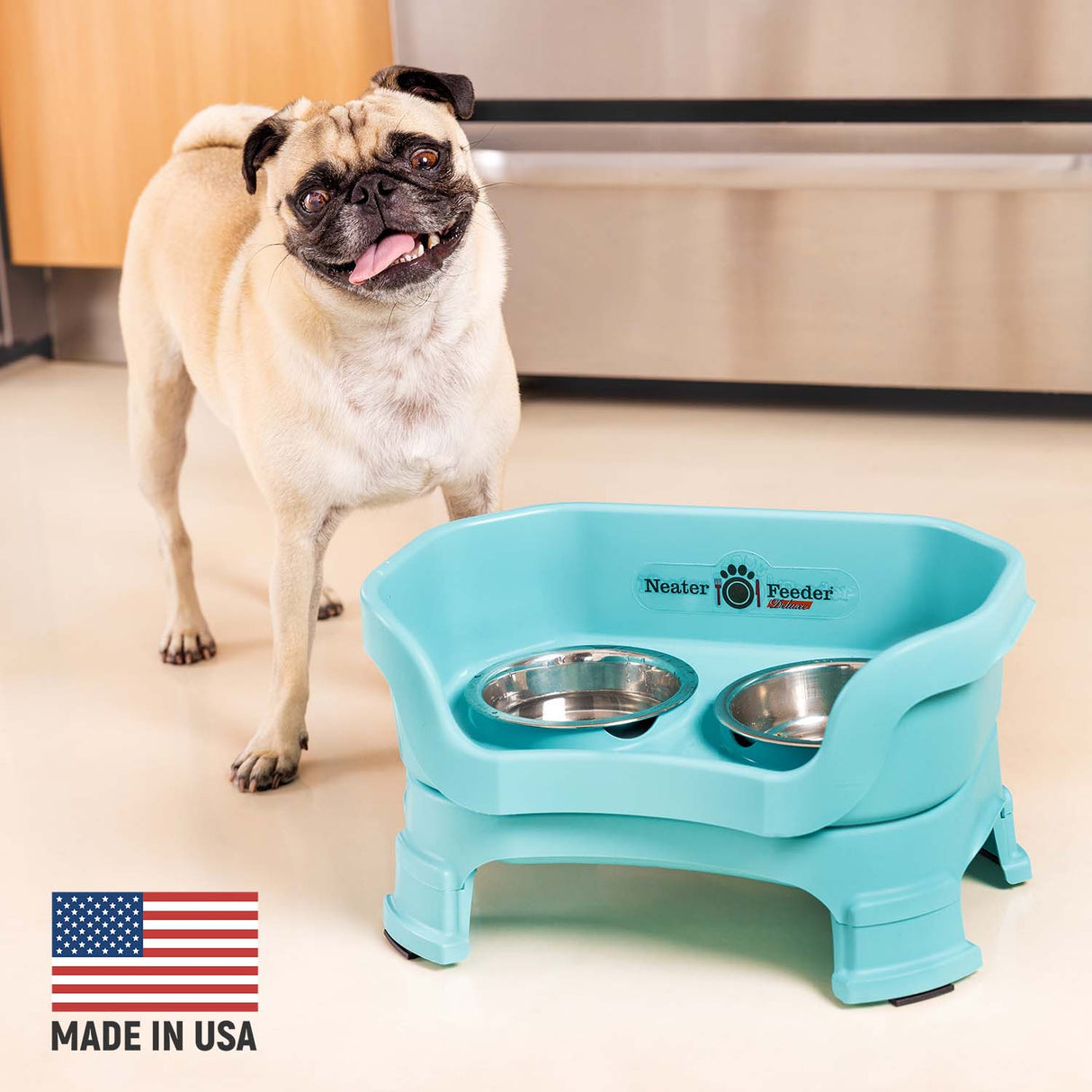 Pug next to Aquamarine Neater Feeder Deluxe - Made in the USA