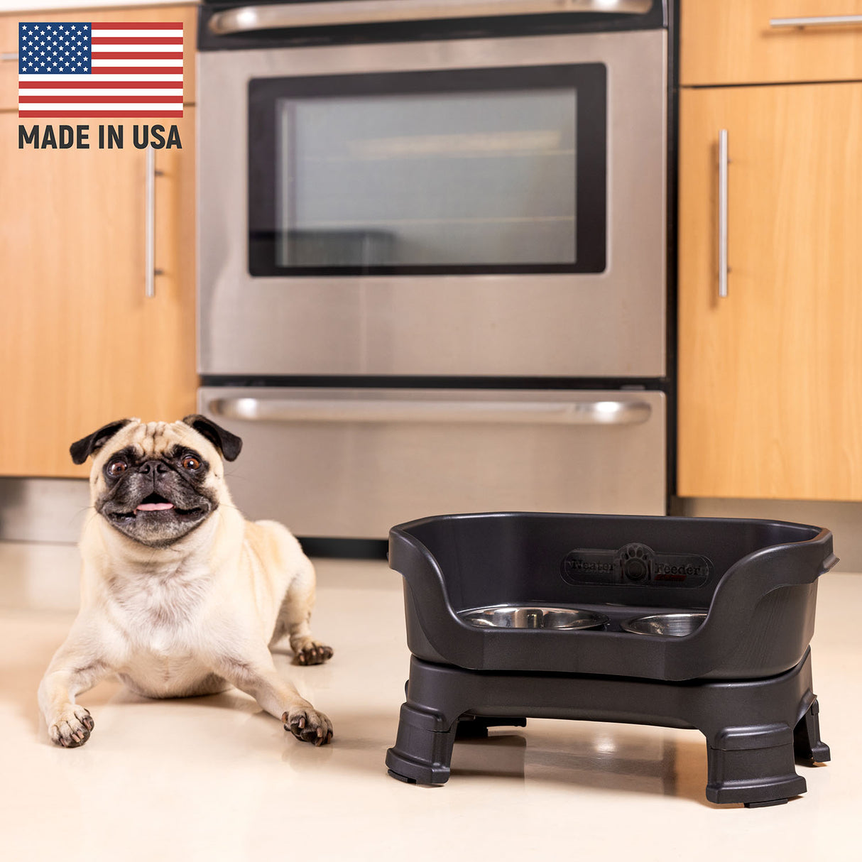Pug next to Black Neater Feeder Deluxe - Made in the USA