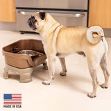 Pug next to Bronze Neater Feeder Deluxe - Made in the USA