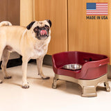 Pug next to Cranberry Neater Feeder Deluxe - Made in the USA