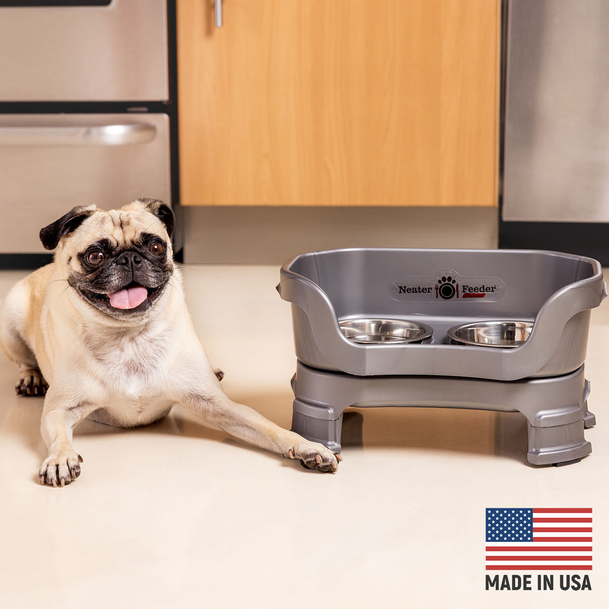 Pug next to Gunmetal Neater Feeder Deluxe - Made in the USA