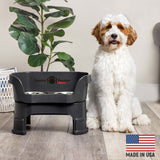 Goldendoodle next to Black Neater Feeder Deluxe - Made in the USA