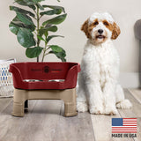 Goldendoodle next to Cranberry Neater Feeder Deluxe - Made in the USA