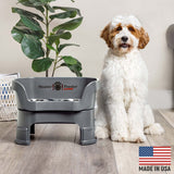 Goldendoodle next to Gunmetal Neater Feeder Deluxe - Made in the USA