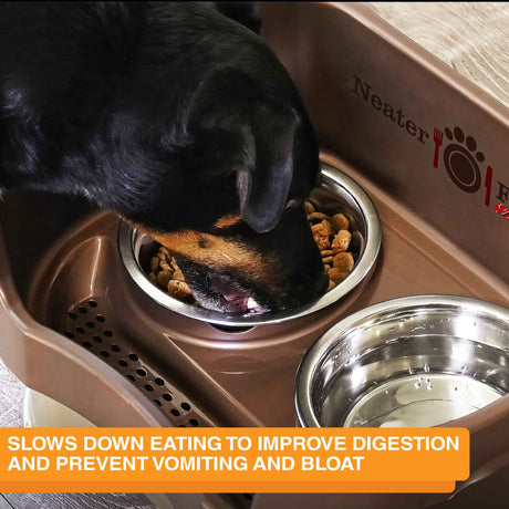 Dog eating from bowl - bowl slows down eating and improves digestion