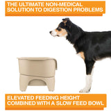 The ultimate non-medical solution to digestion problems is elevated feeding combined with a slow feed bowl