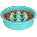 The Niner in Aqua with kibble inside the feeder against a white background.