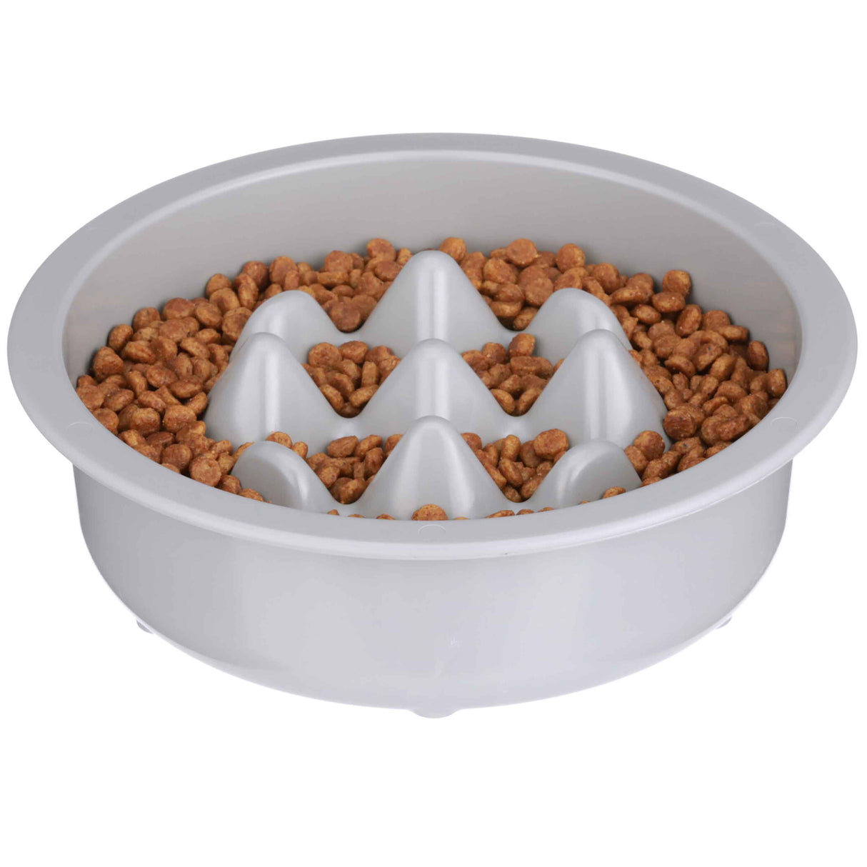 Niner slow feed bowl filled with dry pet food