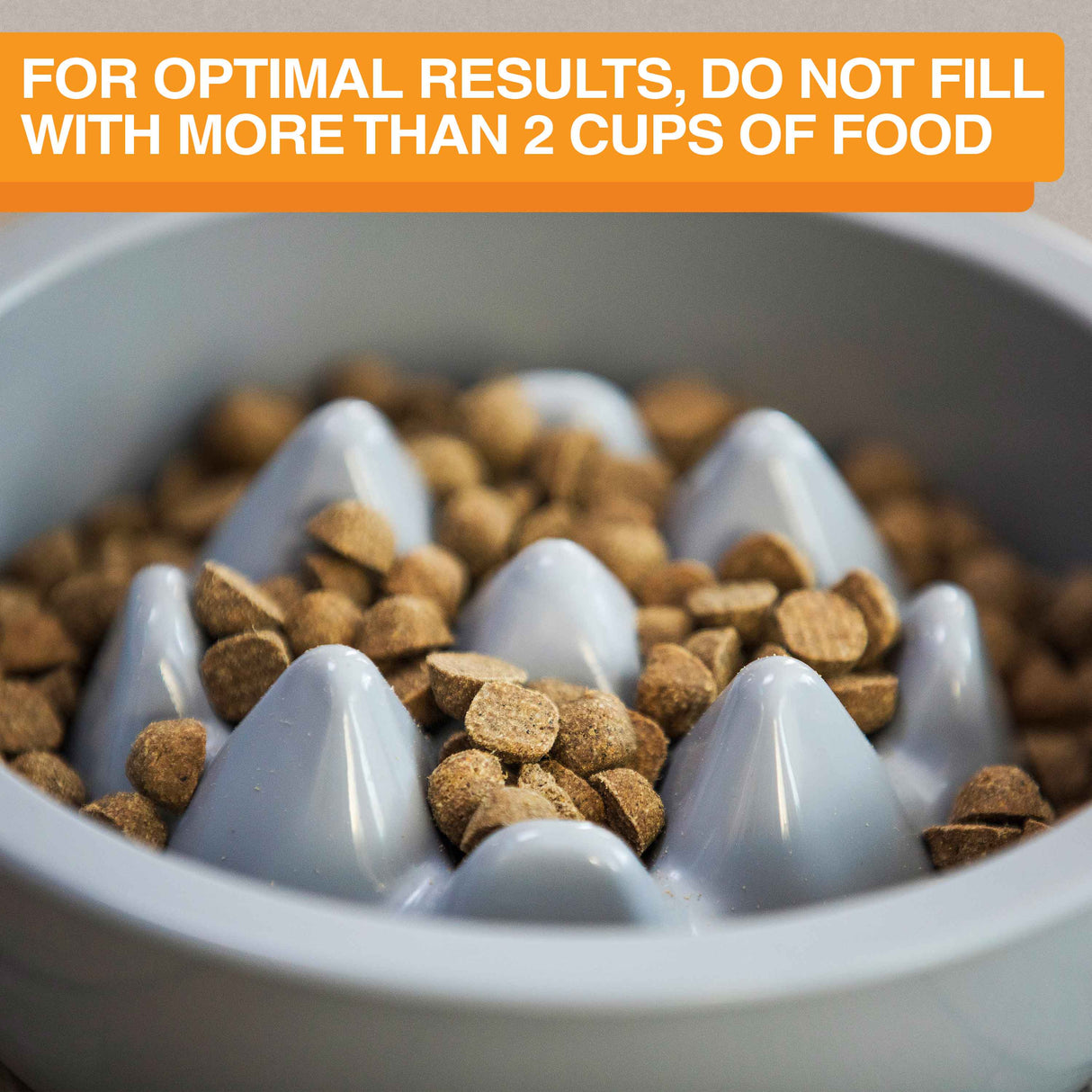 For optimal results do not fill with more than 2 cups of food