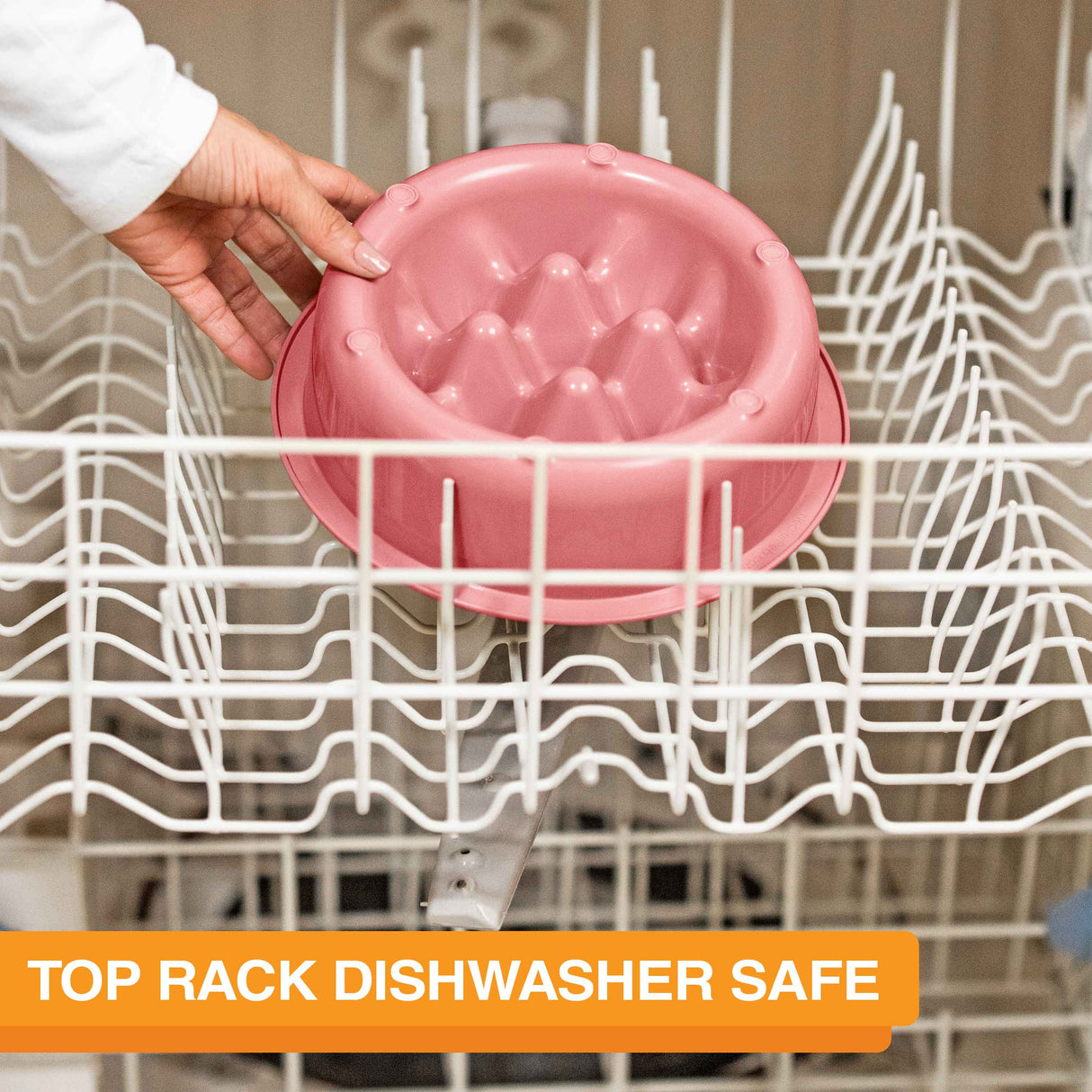 The Niner in the top rack of a dishwasher