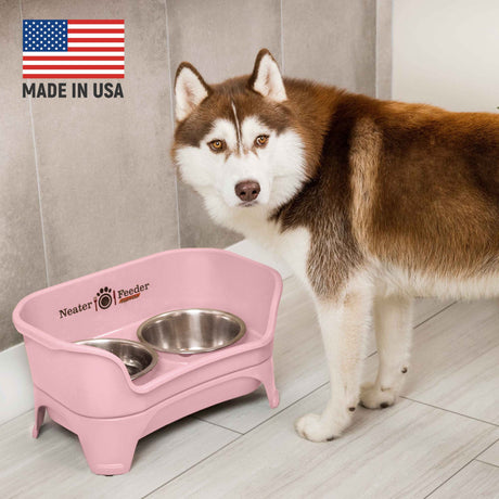 Dog standing next to a pink elevated pet feeder with two bowls, made in USA, on a light wooden floor.