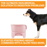 A picture of the Neater Feeder with a dog standing in front of it. The picture explains that the ultimate non-medical solution to digestion problems is elevated feeding combined with a slow feed bowl.