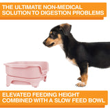 A picture of the Neater Feeder with a dog standing in front of it. The picture explains that the ultimate non-medical solution to digestion problems is elevated feeding combined with a slow feed bowl.