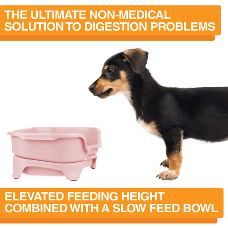 A picture of the Neater Feeder with a dog standing in front of it. The picture explains that the ultimate non-medical solution to digestion problems is elevated feeding combined with a slow feed bowl.
