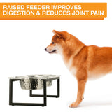 Raised feeder improves digestion & reduces joint pain