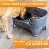 The Niner Slow Feed Bowl inside of the Express Medium to Large Express Neater Feeder with dog