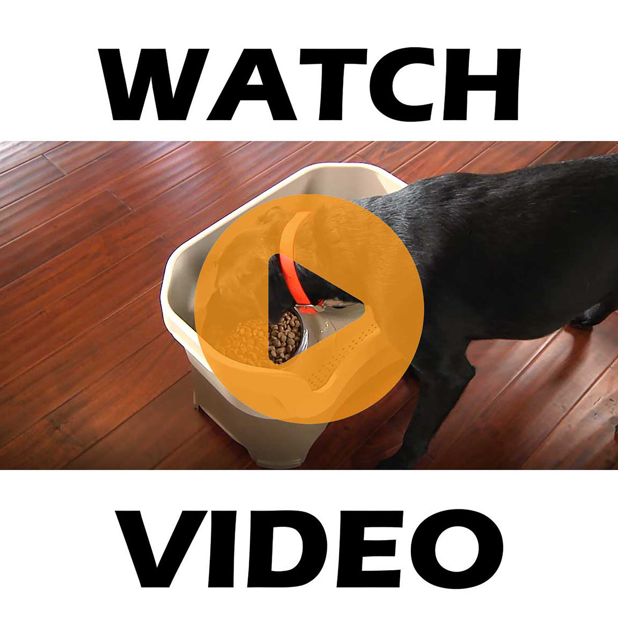 Neater Feeder Deluxe Dog video.