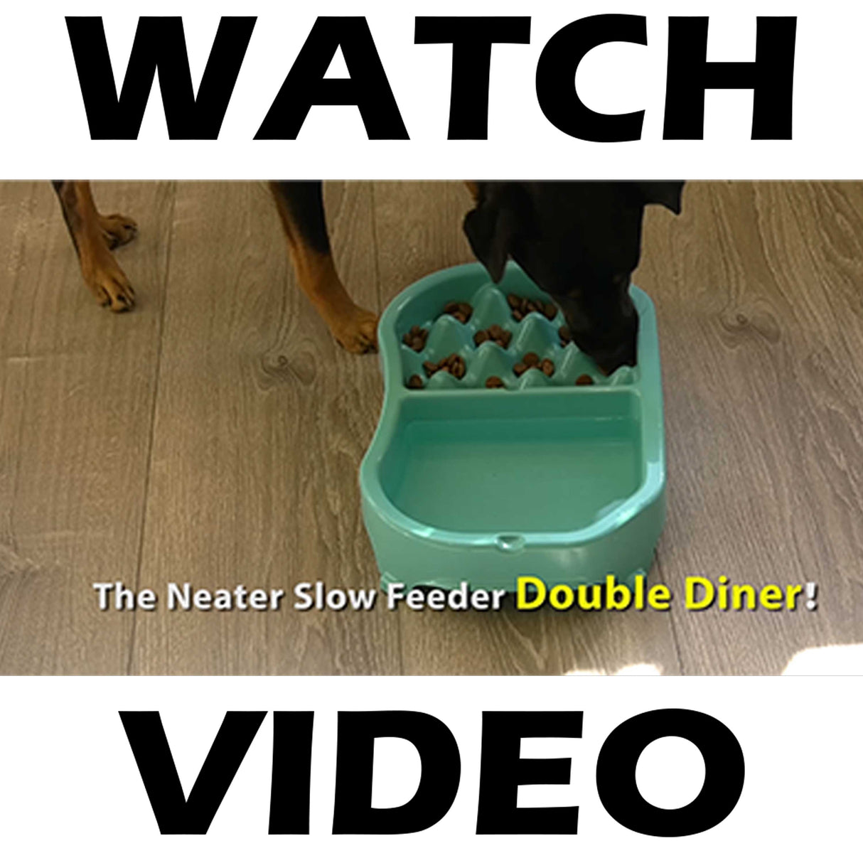 Neater Slow Feeder Double Diner video