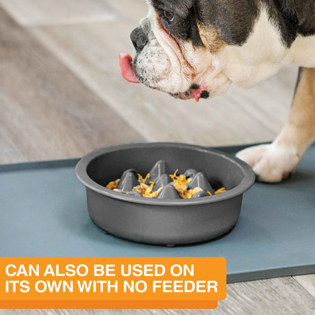 The Niner Slow Feed Bowl placed on a mat with a dog