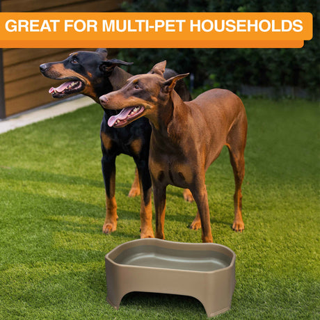 Giant bowl is great for multi-pet households