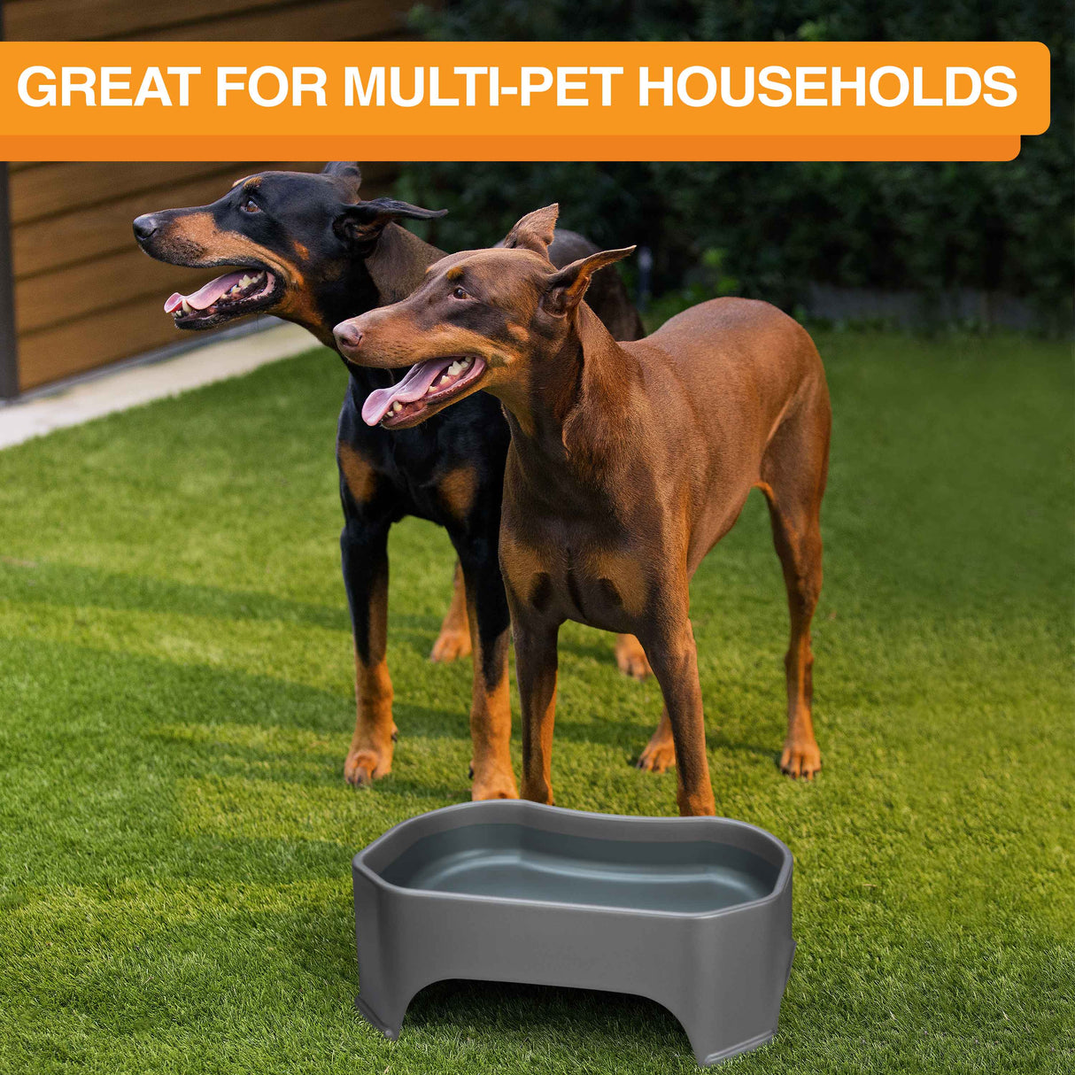 Giant bowl is great for multi-pet households