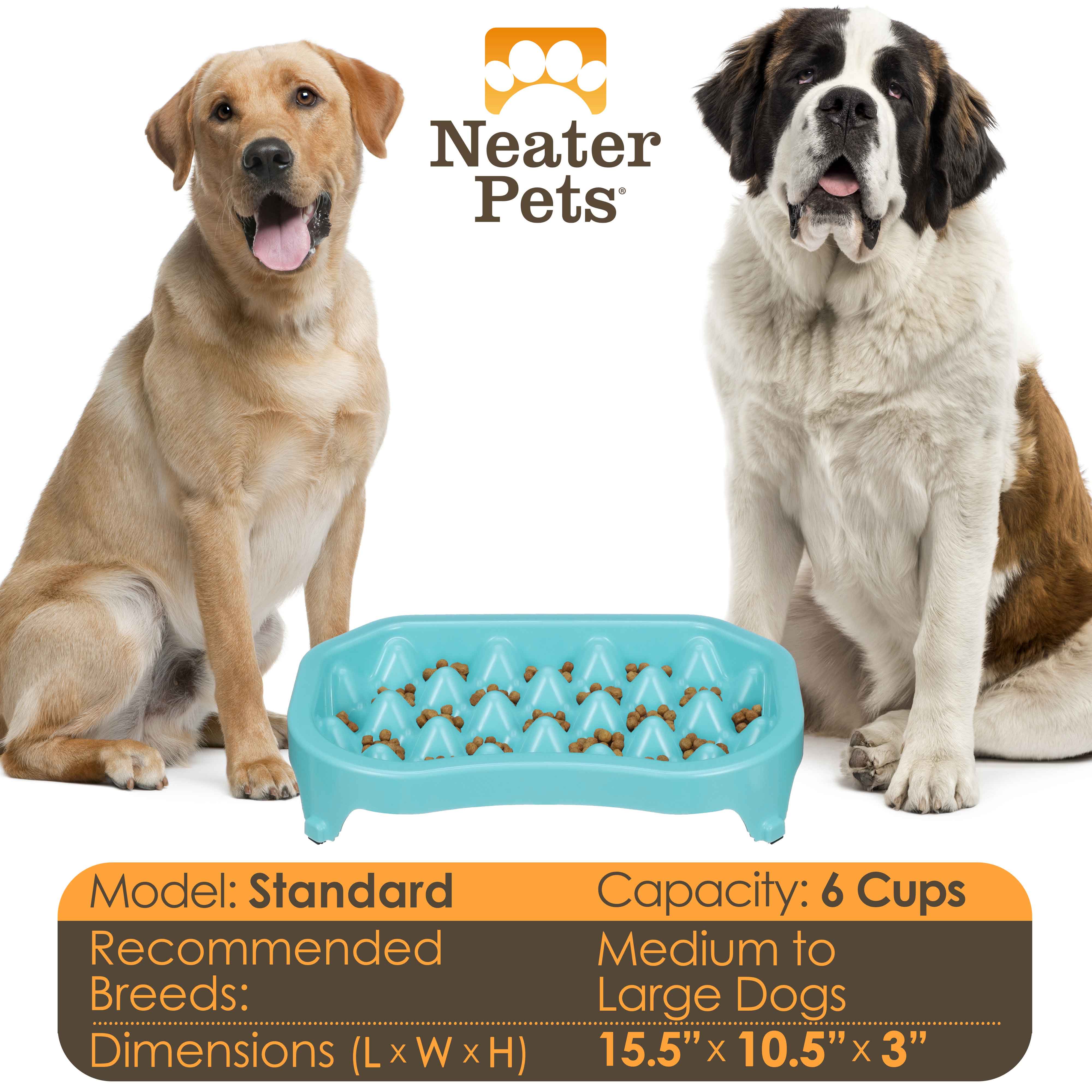 Neater Slow Feeder – Neater Pets