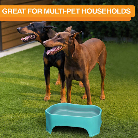 Giant bowl is great for multi-pet households