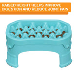 Raised Neater Slow Feeder helps improve digestion and reduce joint pain