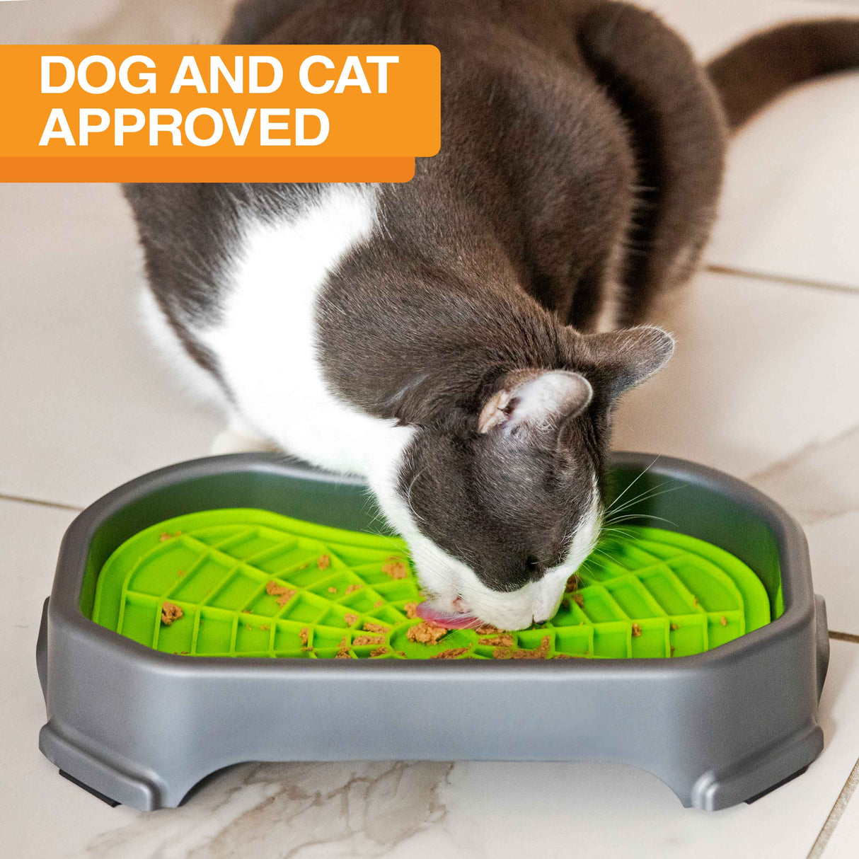https://neaterpets.com/cdn/shop/products/CatwithMatinTray.jpg?v=1689701868&width=1214