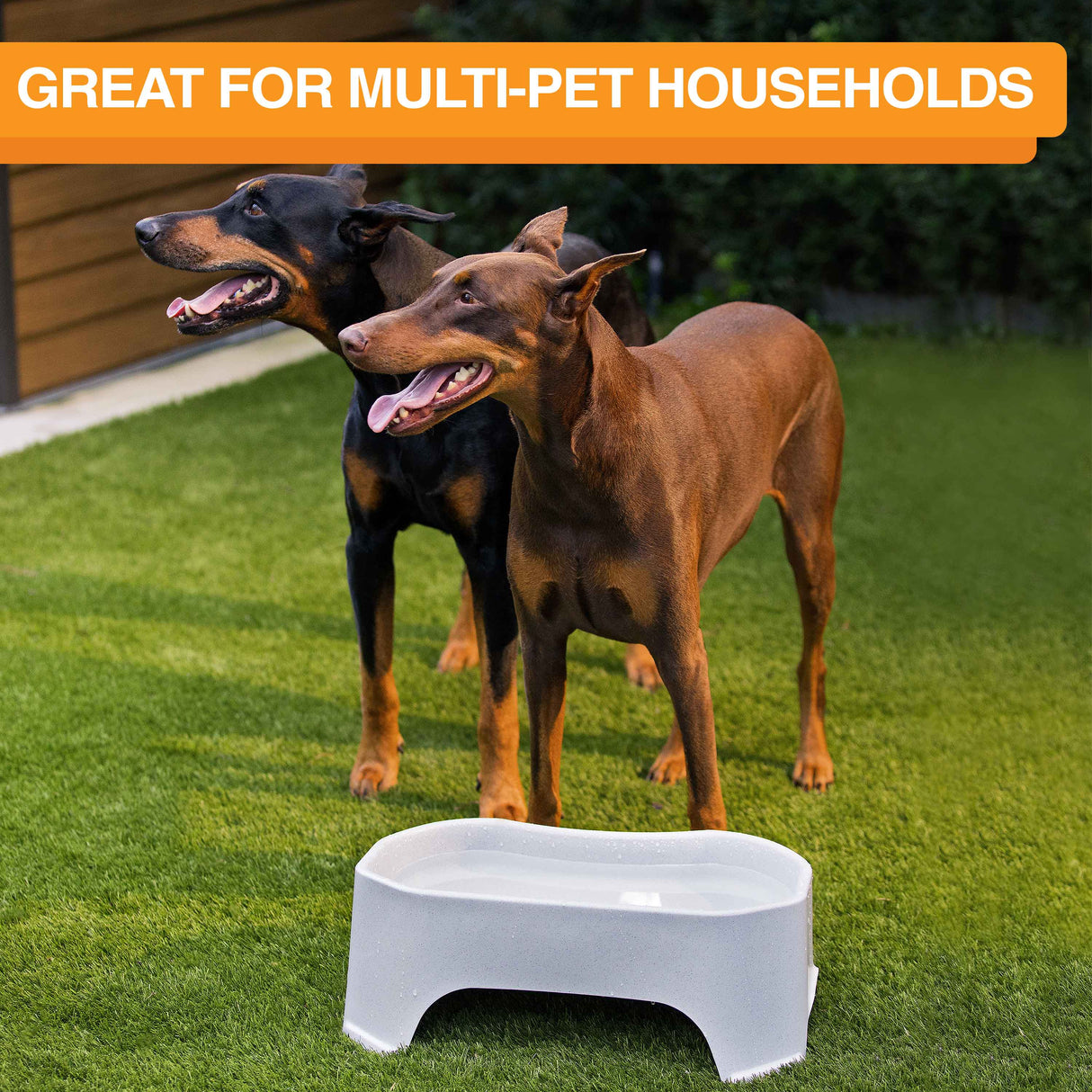 Neater Pet Brands Big Bowl with Leg Extensions Huge Jumbo Trough Style Dog Pet Water Dish (1.25 Gallons, Gunmetal)