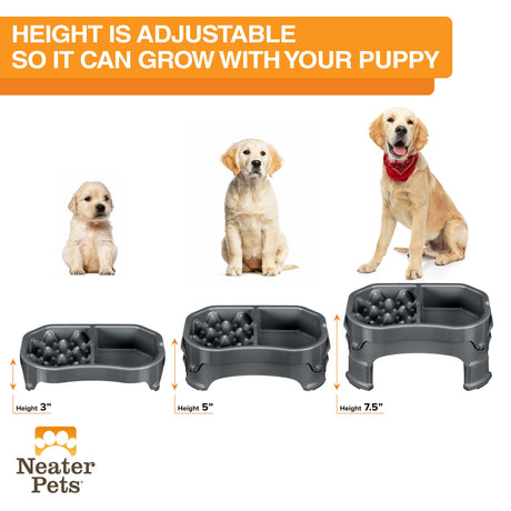 The raised Double Diner is adjustable to 3 different feeding heights