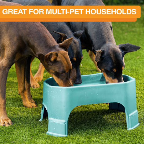 Giant Bowl is great for multiple pet households