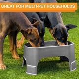 Giant Bowl is great for multiple pet households