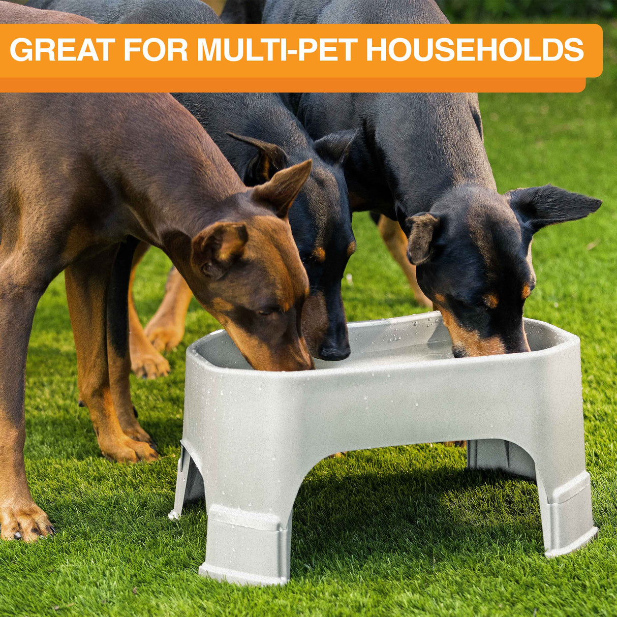 Giant Bowl is great for multiple pet households
