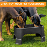 Giant bowl great for houses with multiple pets
