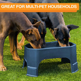 Giant bowl great for houses with multiple pets