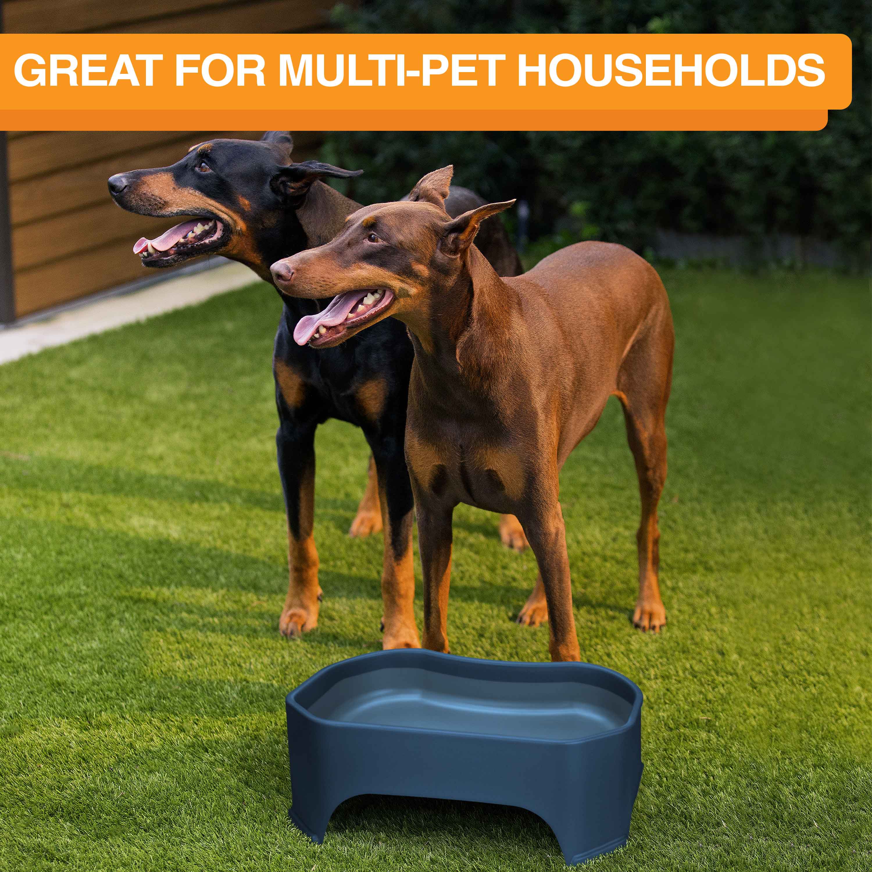 Plastic Big Giant Bowl Food Bowls Water Bowls for Dogs Cats Neater Pets