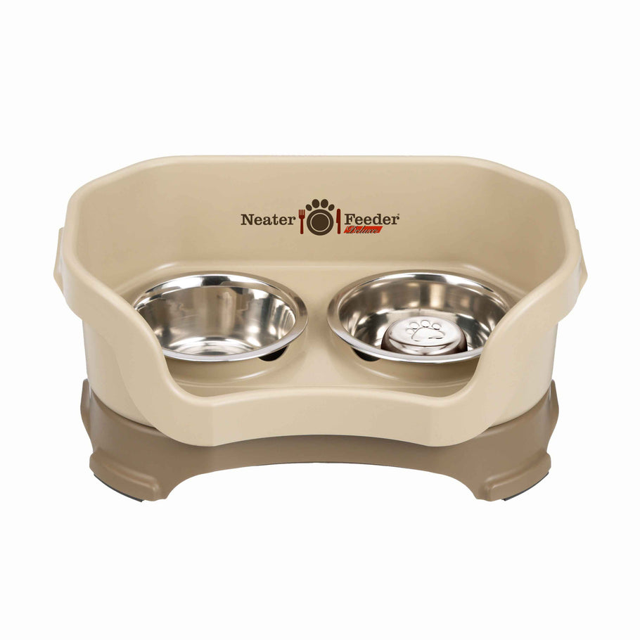 Visual Reference: Neater Feeder Deluxe With Stainless Steel Slow Feed Bowl