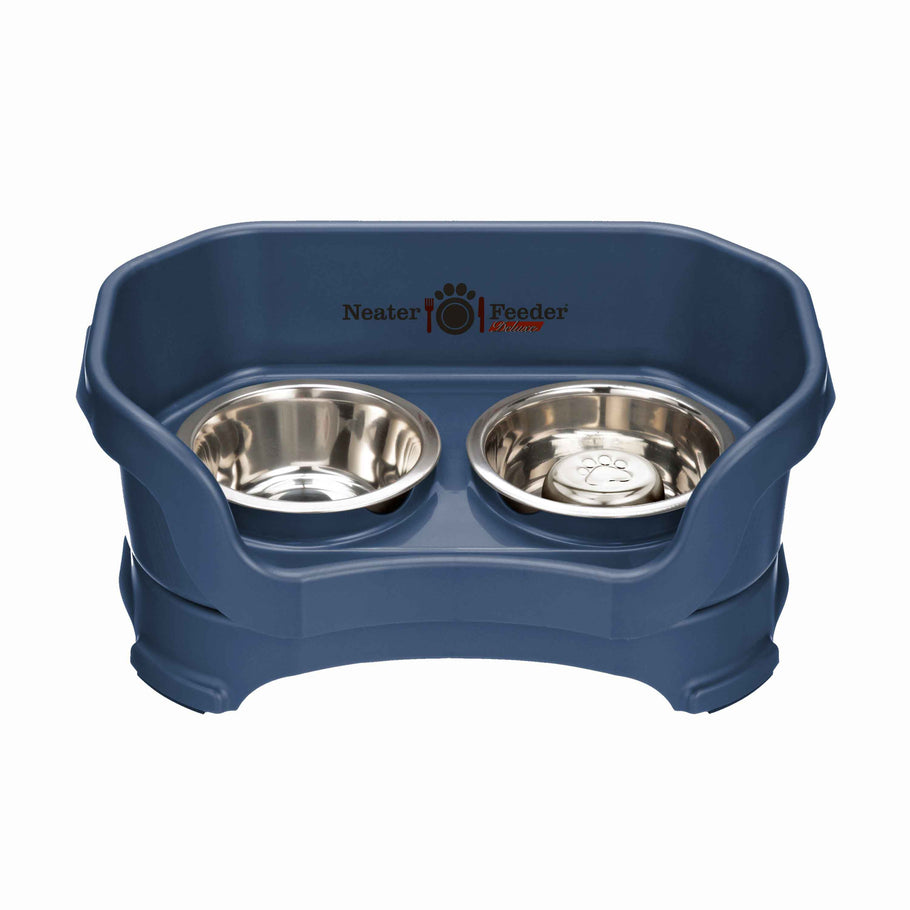 DELUXE Neater Feeder with Stainless Steel Slow Feed Bowl Neater Pets