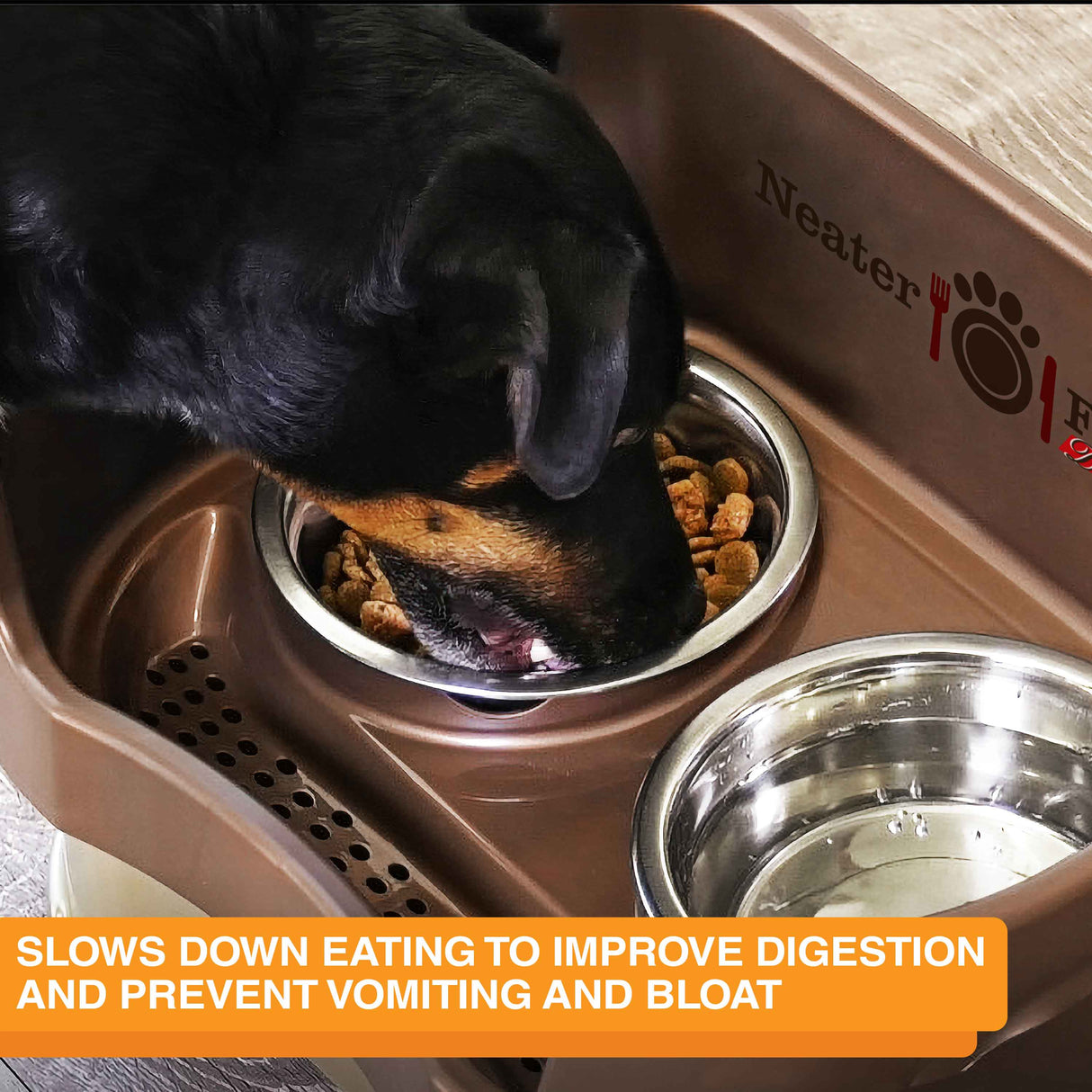 Dog eating out of a Stainless Steel Slow Feed Replacement Bowl inside a bronze Neater Feeder Deluxe
