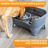 The Niner Slow Feed Bowl inside of the Express Medium to Large Express Neater Feeder with dog